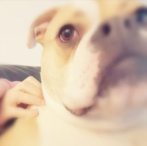 Meet your Posher, Sandra